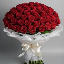 Букет 101 Красная роза Блэк Мэджик #REPLACE_PRED# Новоблагодарном