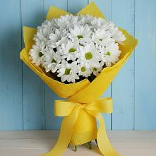 Букет цветов из:  Хризантемы в Новоблагодарном