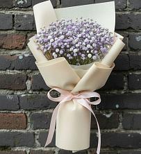 Букет цветов из:  Гипсофила в Новоблагодарном