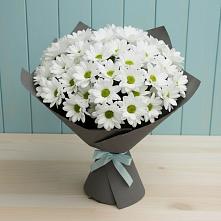 Букет цветов из:  Хризантемы в Новоблагодарном