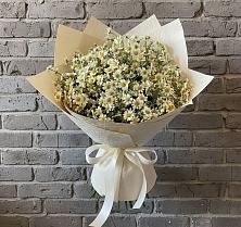 Букет цветов из:  Ромашки в Новоблагодарном