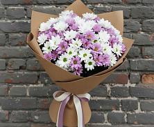 Букет цветов из:  Хризантемы в Новоблагодарном