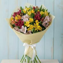 Букет цветов из:  Альстромерии #REPLACE_PRED# Новоблагодарном