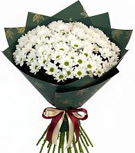 Букет цветов из:  Хризантемы #REPLACE_PRED# Новоблагодарном