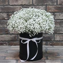 Цветочная композиция из Гипсофила в шляпной коробке в Новоблагодарном