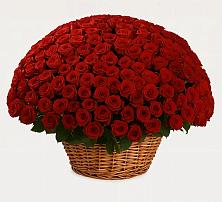 Премиум букет из: Розы в Новоблагодарном