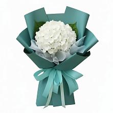 Букет цветов из:  Гортензия #REPLACE_PRED# Новоблагодарном